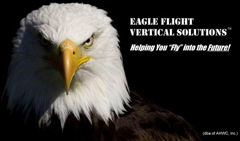 Eagle Flight Vertical Solutions logo